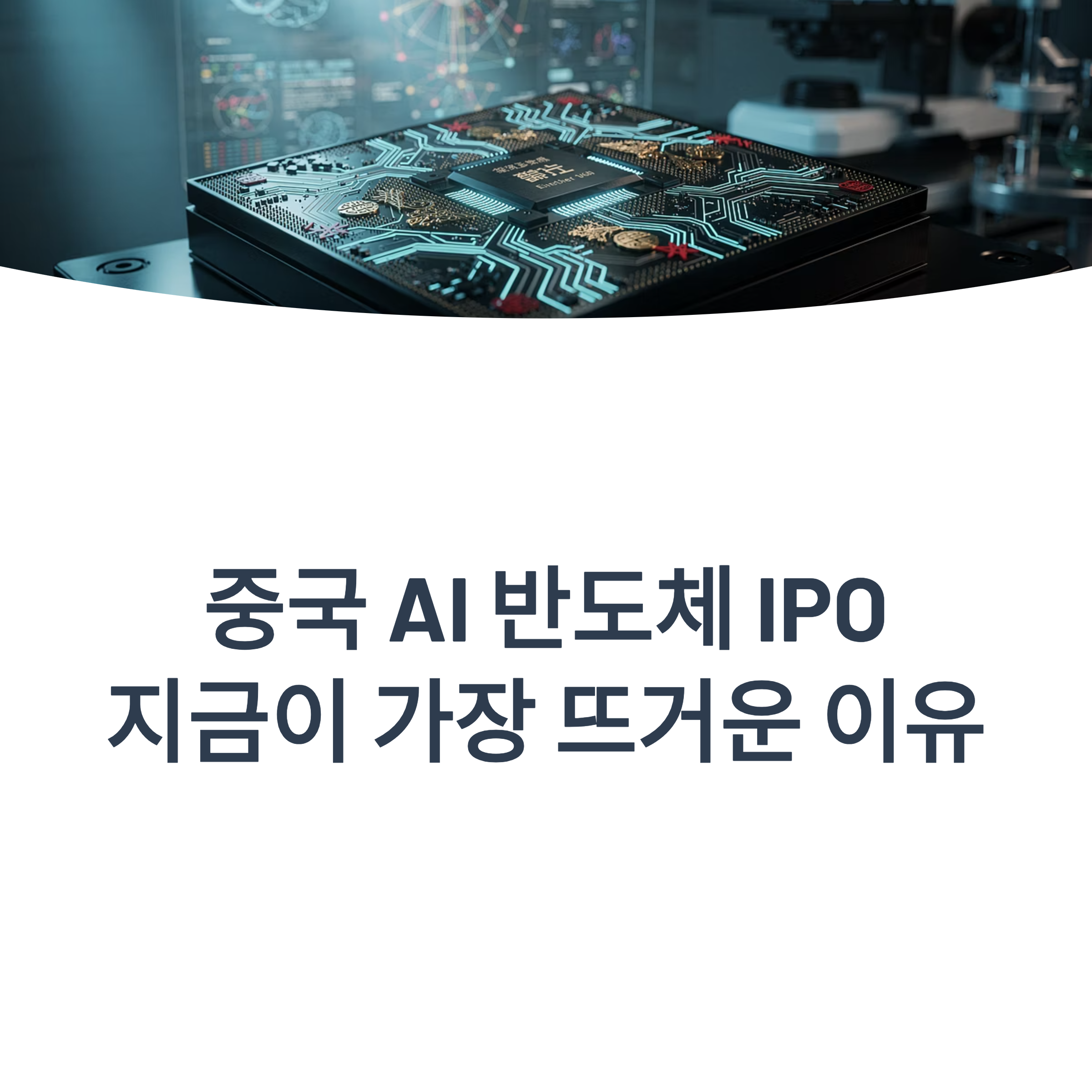중국 AI 반도체 IPO
