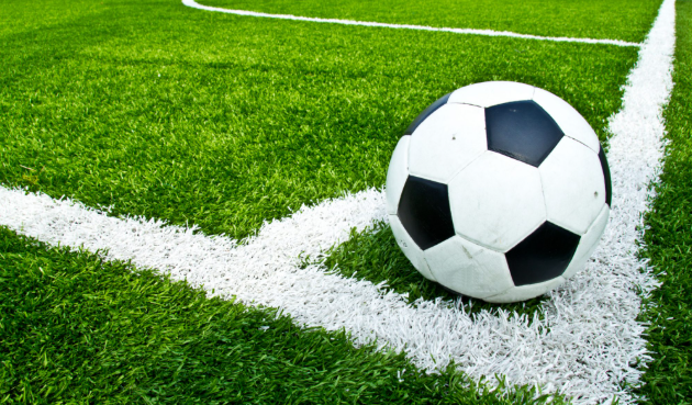 축구장 잔디와 축구공 이미지