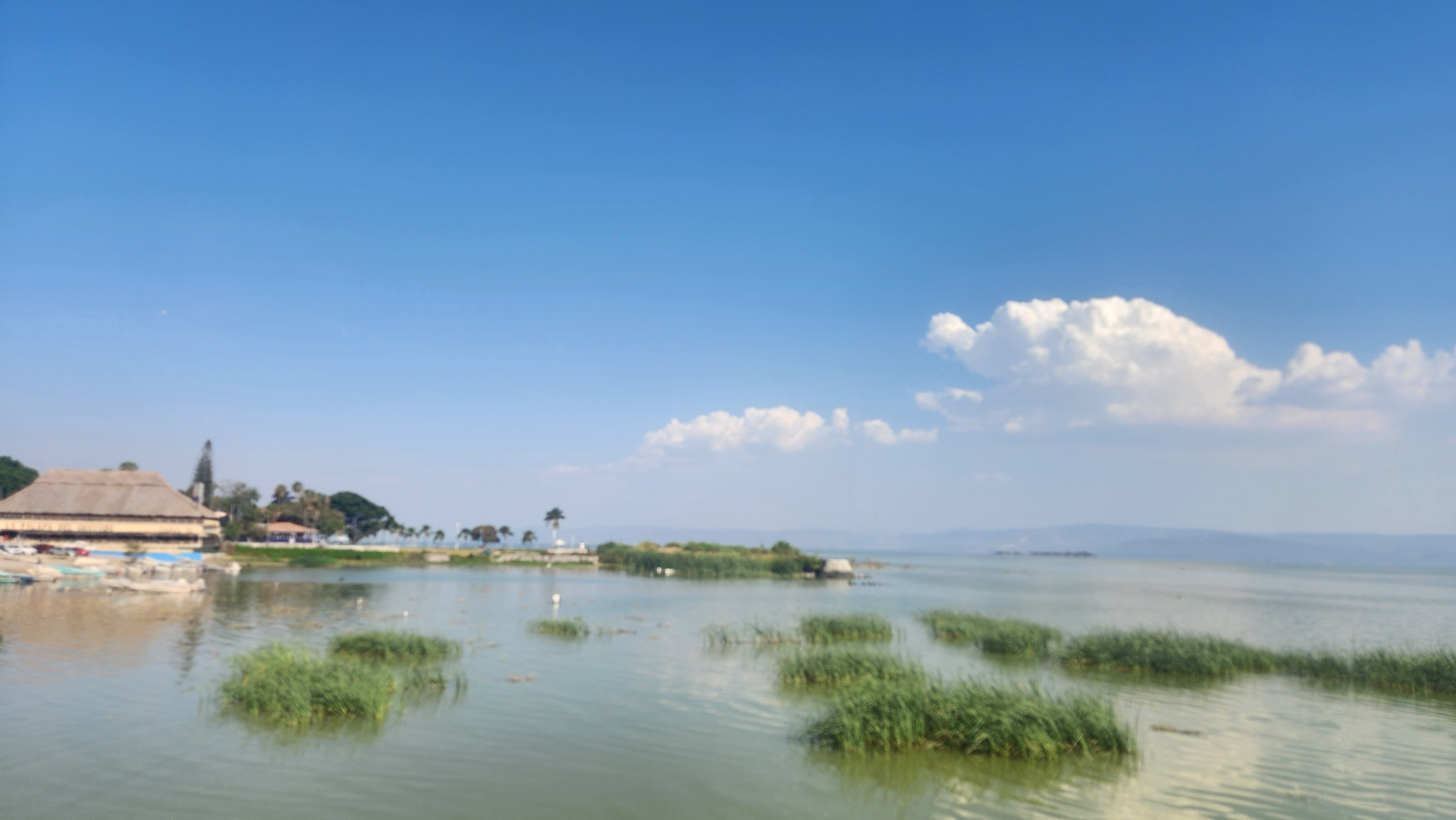 차팔라 호수의 잔잔한 수면과 떠 있는 갈대들 이미지