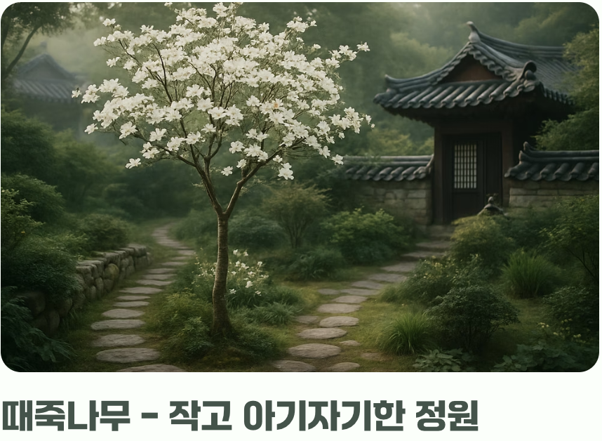 어떤 나무를 선택할까?