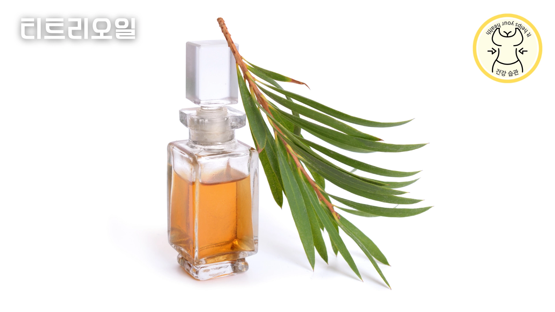 무좀치료 민간요법 - 티트리오일