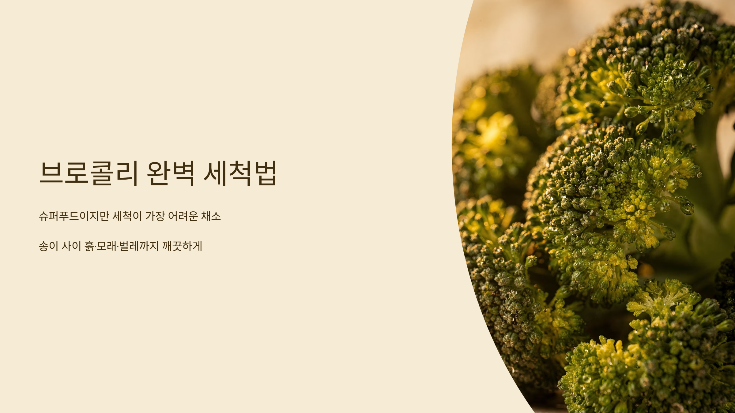 브로콜리 씻는방법