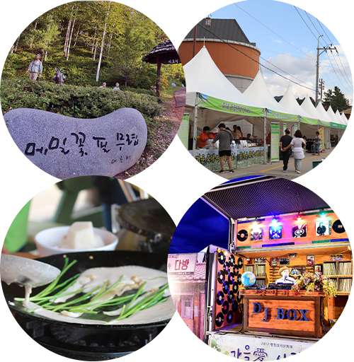 2024 봉평 메밀꽃 축제 평창 효석 문화제