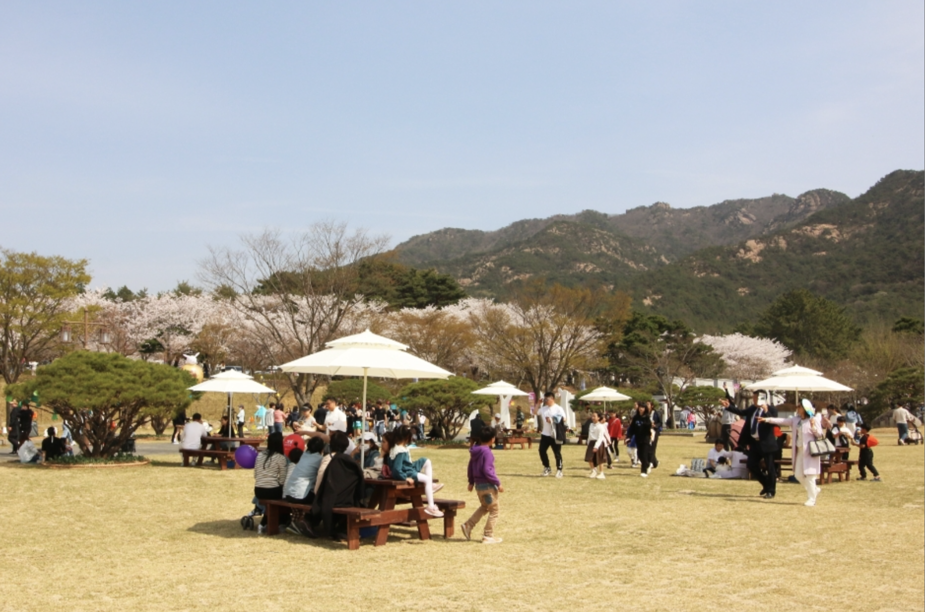 영암왕인문화축제