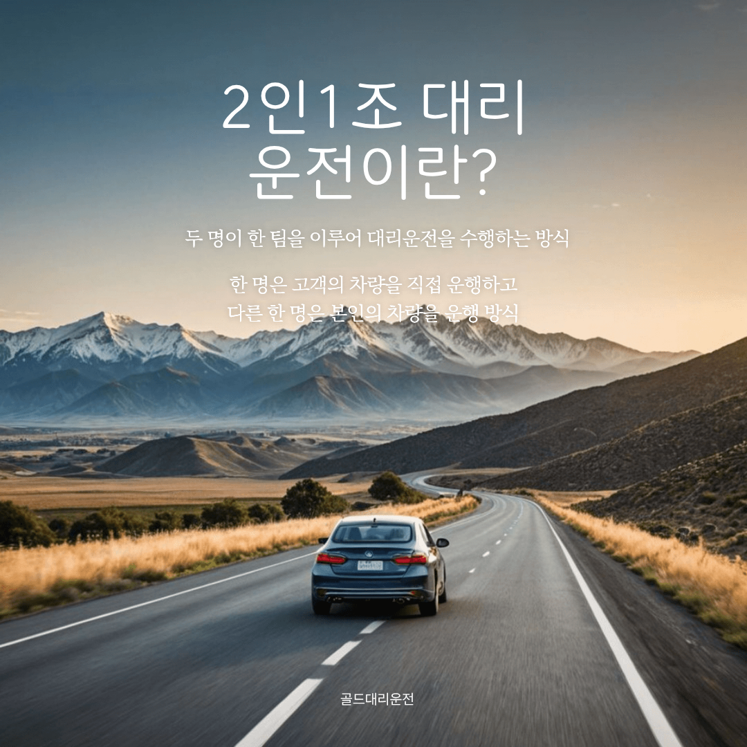 대리운전 2인1조 골드대리
