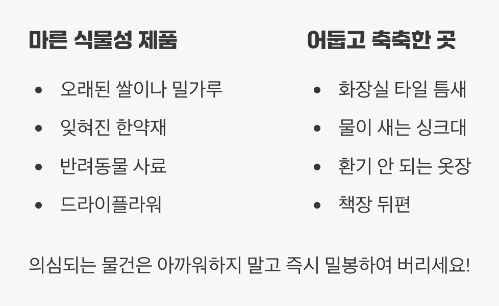 숨겨진 보급 기지를 찾아라! (발생 원인)