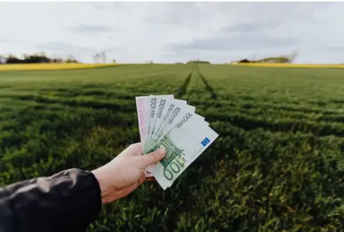 연말정산 기간 및 달라진점