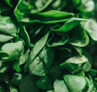 비타민C 많은 음식 (식품 과일 채소)