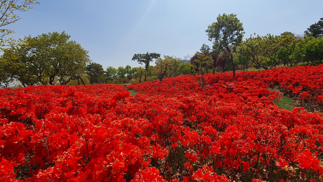칠곡 가산수피아