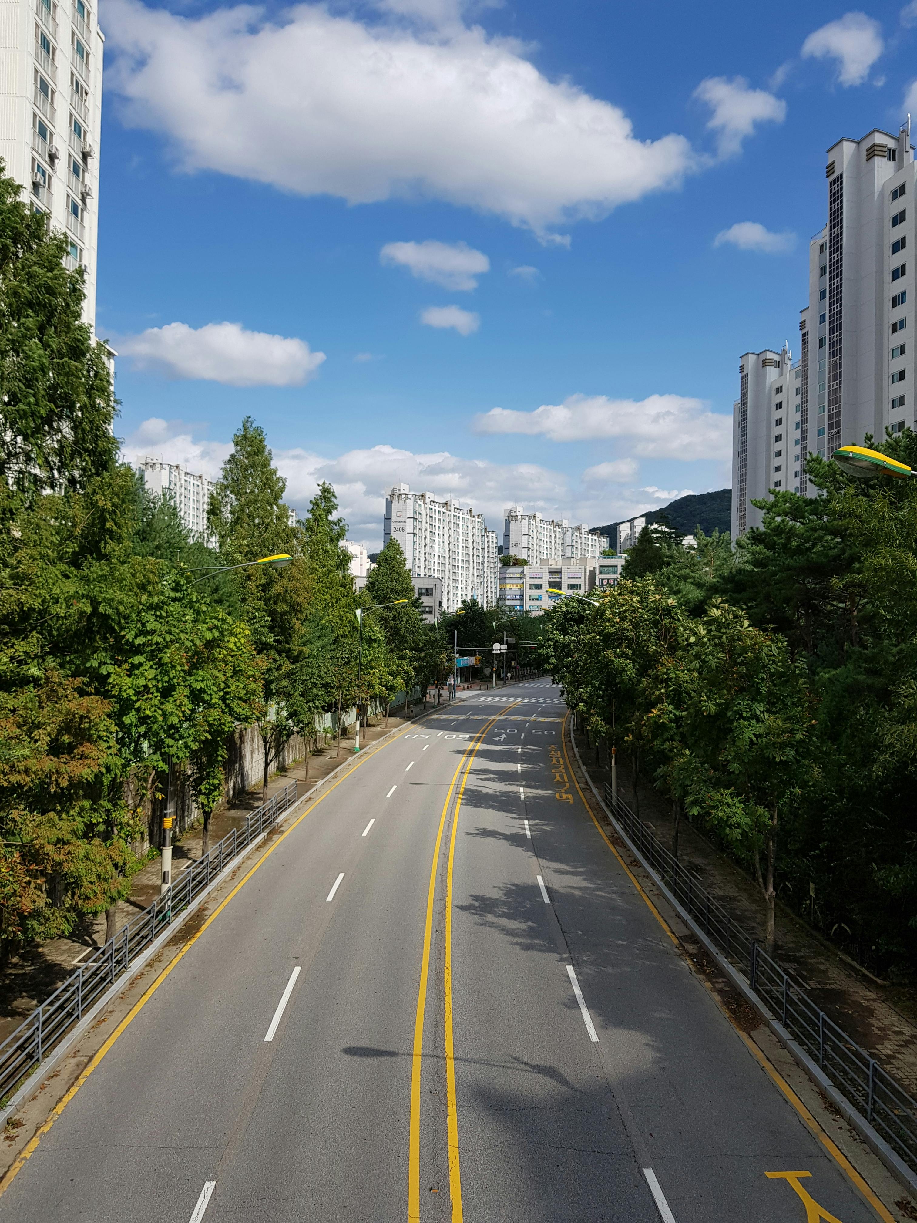 도로 경매