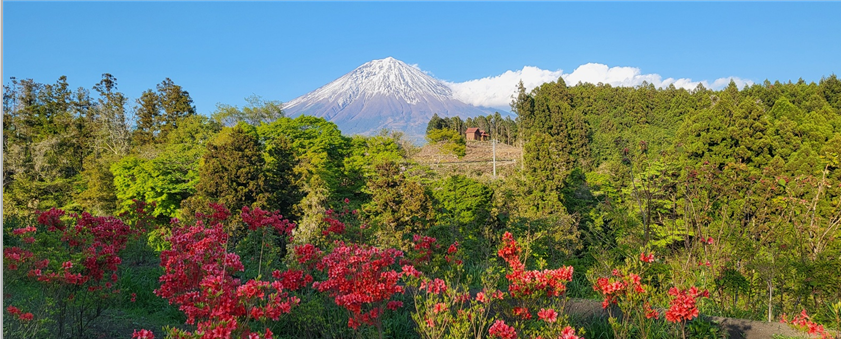 오토도메폭포옆 후지산