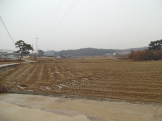 2025 재산세 세율표(주택·토지·건축물)