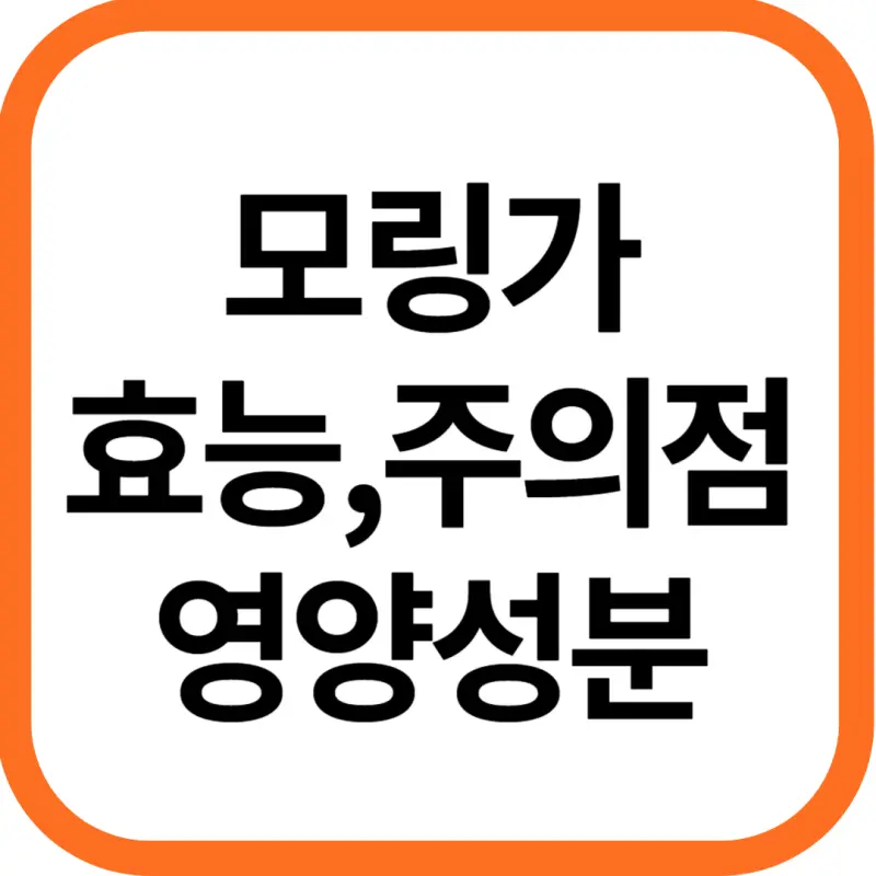 모링가 효능 및 영양성분&#44; 주의점