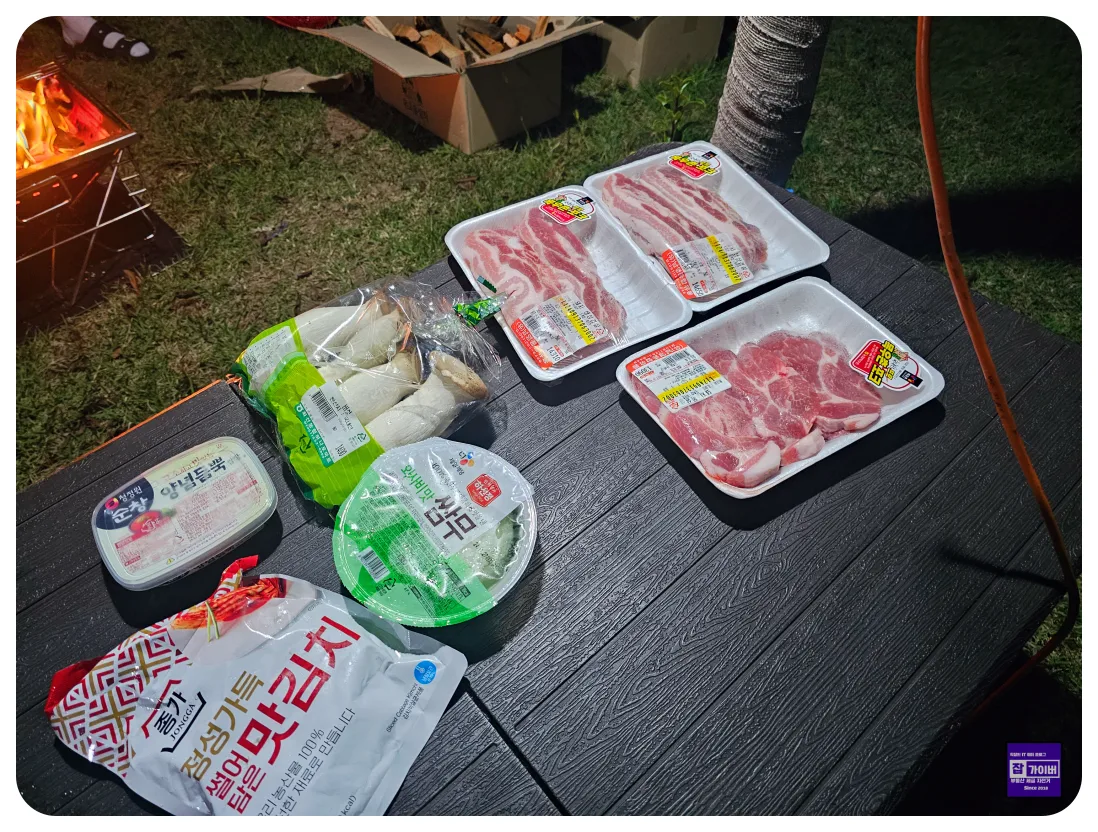 캠핑 바베큐 고기 굽는 장면