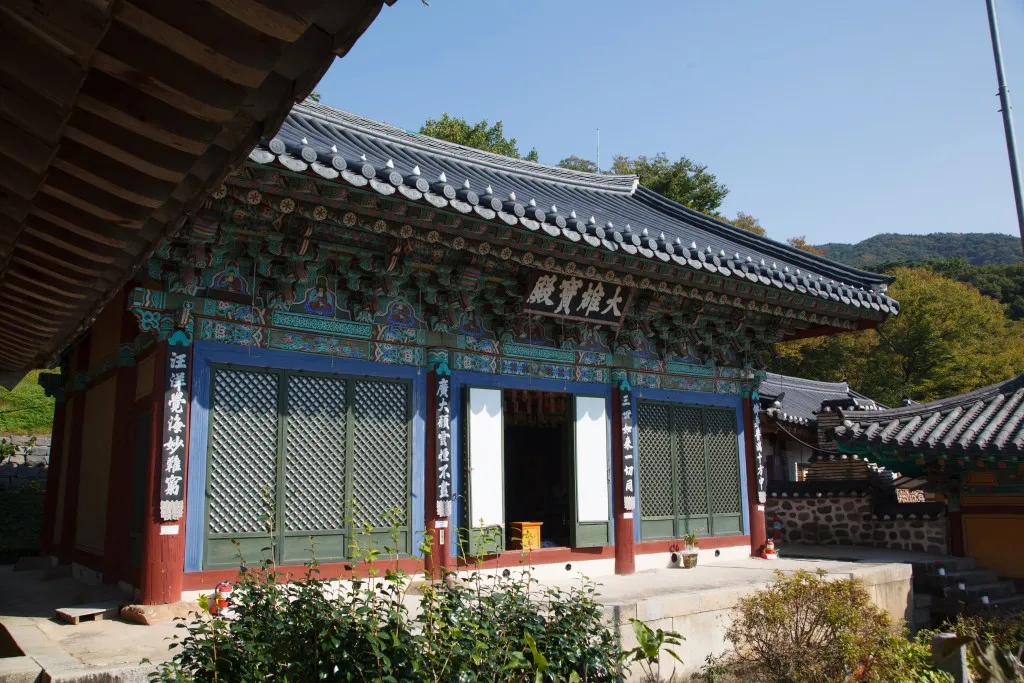 서산 개심사 청벚꽃 개화시기 명소_4