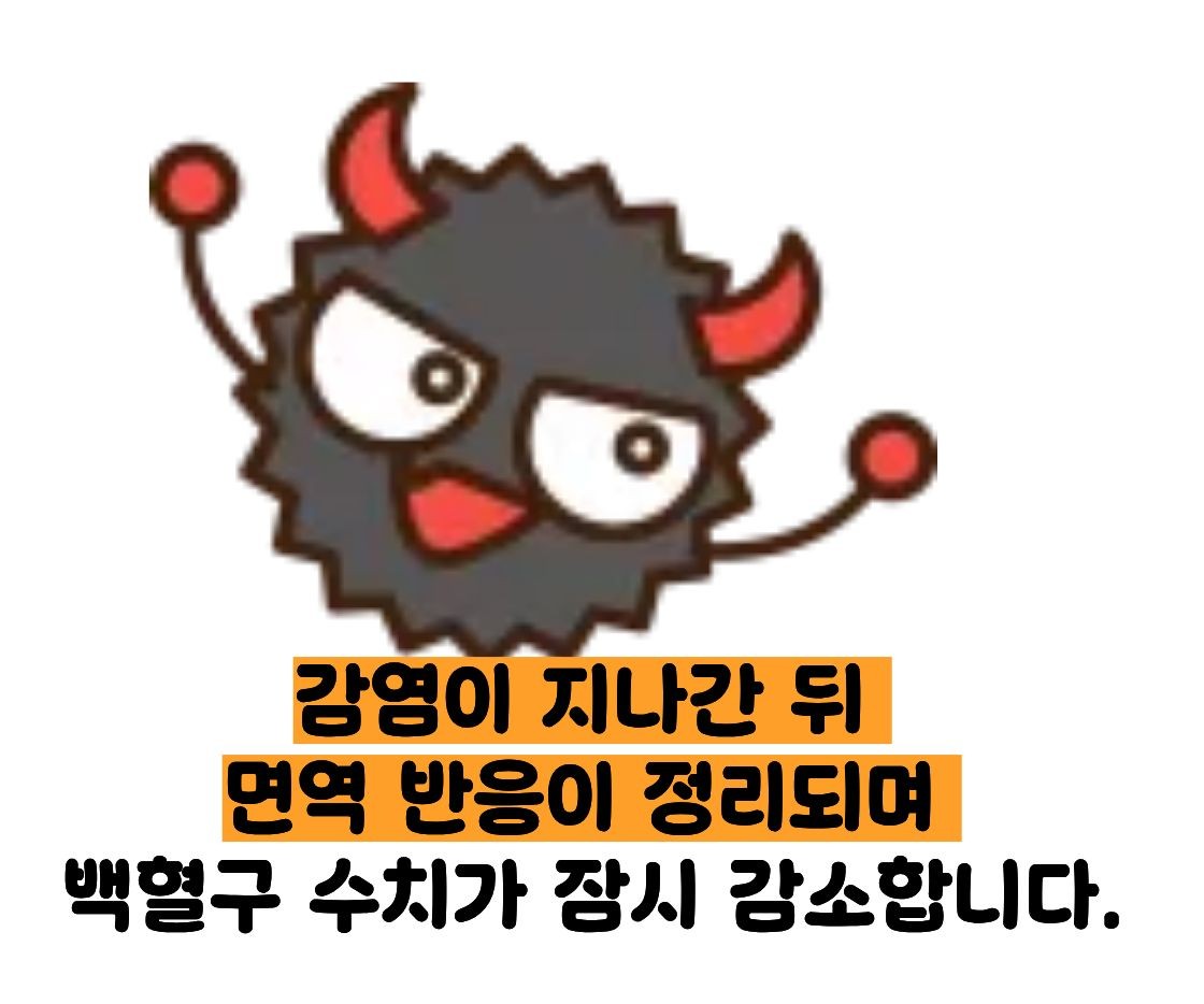 백혈구 수치가 낮은 이유