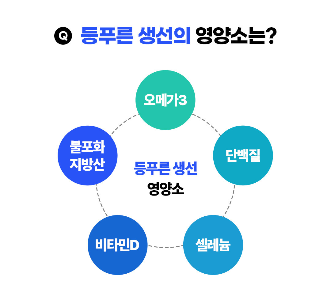 등푸른 생선 영양소