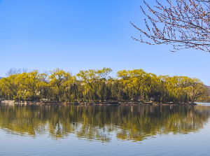 봄이 오는 풍경