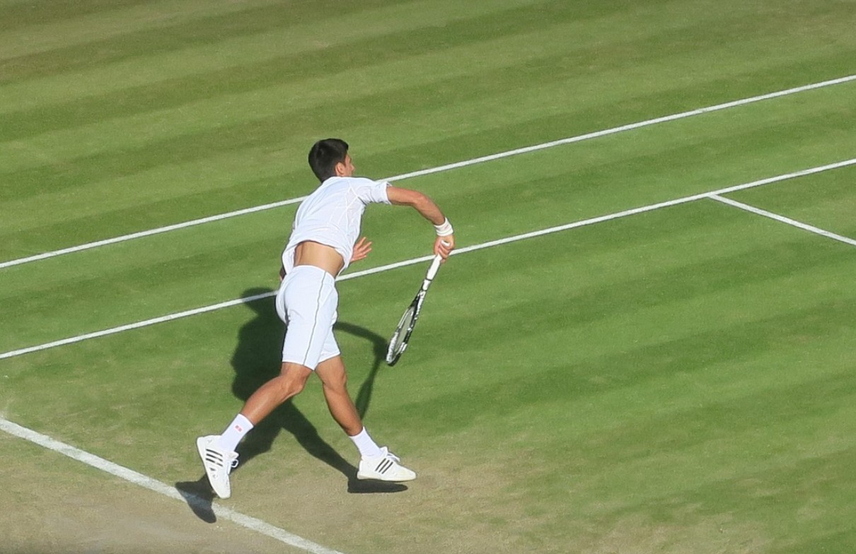 노박 조코비치 의 모습