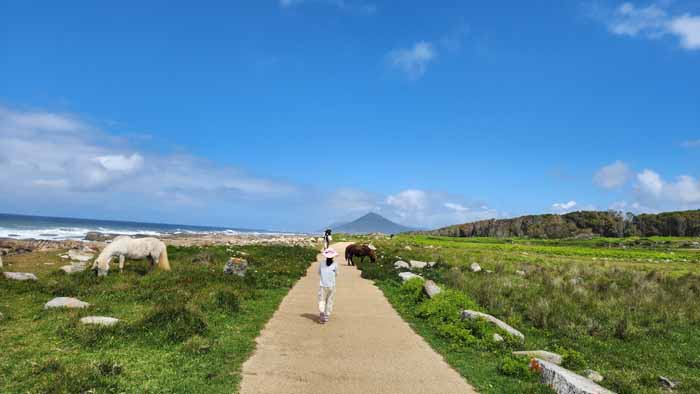 2023년 5월 9일 앙코라에서 까미냐로 가는 까미노 포르투게스 해안길