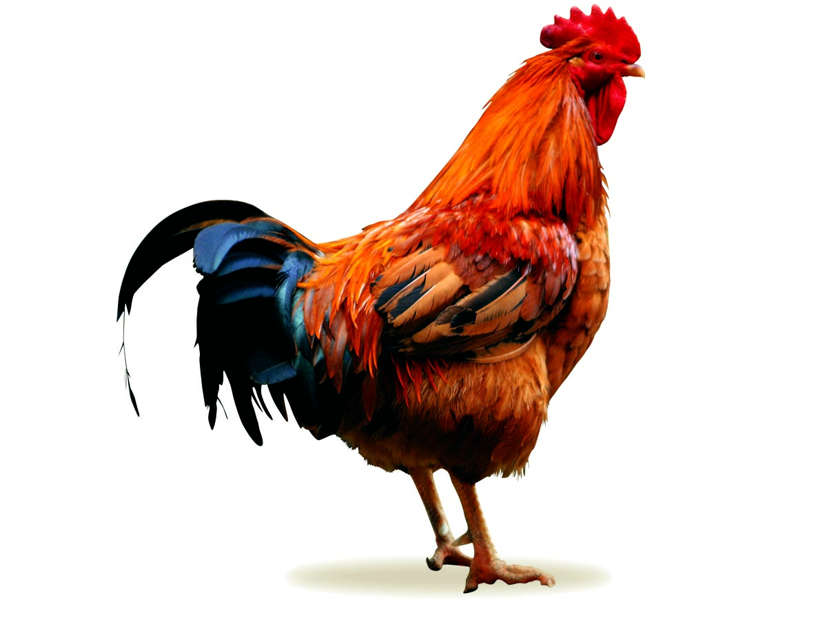 오늘의-운세-2023년-12월-27일-오늘의-띠별-운세