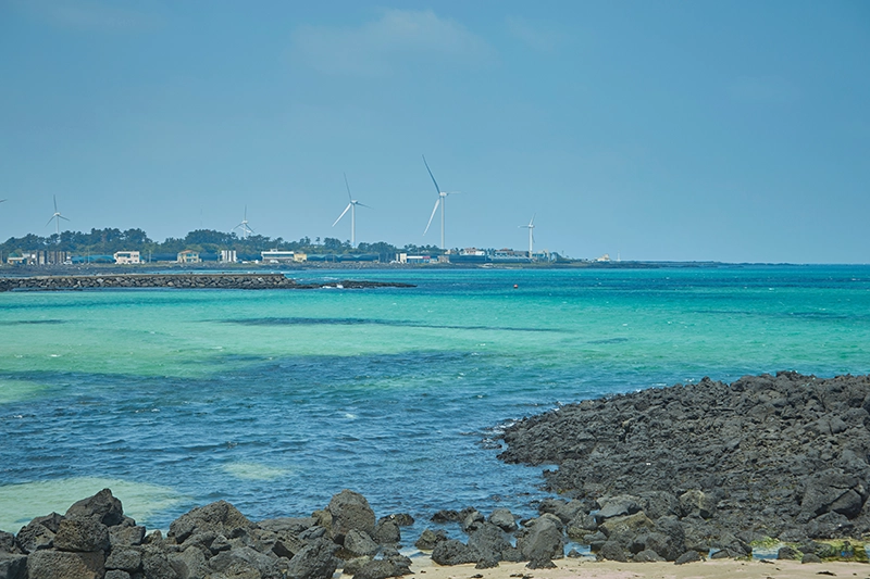 제주도-렌트카-저렴한-곳-비교
