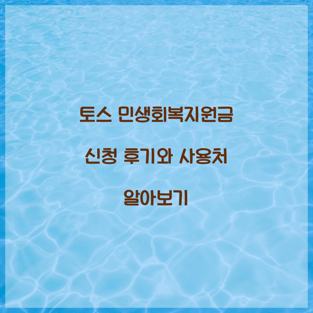 토스 민생회복지원금