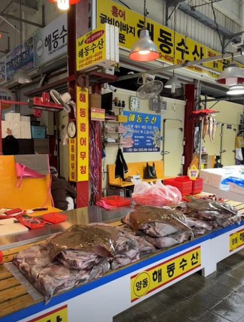 전현무계획2 광주 맛집 매운 돼지찌개 홍어 생고기 콩물 엄마네돼지찌개 해동수산 금동화로 원조두유