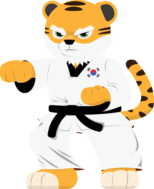 강원&middot;춘천 세계태권도문화축제