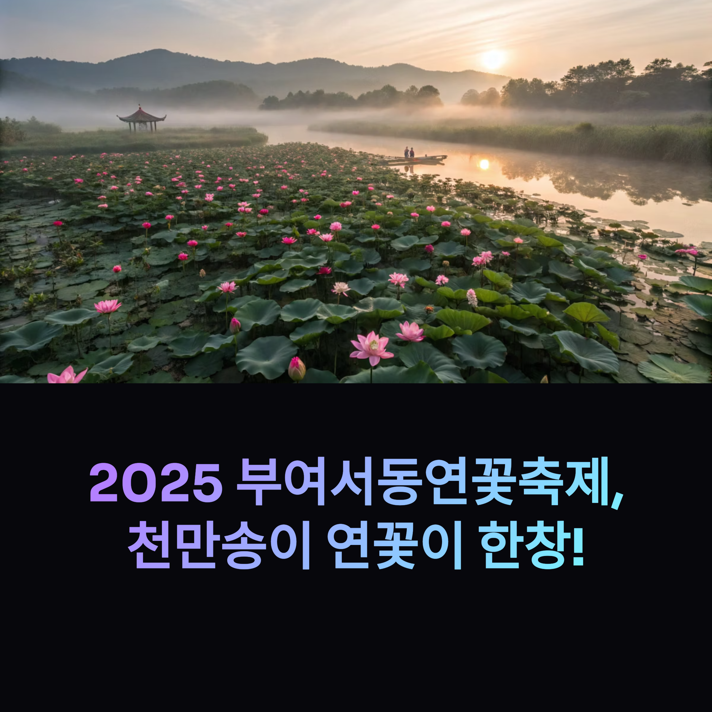궁남지 서동연 제대로 즐기는 방법