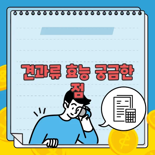 견과류 효능 궁금한 점, 풀어보죠