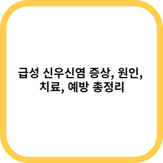 급성 신우신염 증상&#44; 원인&#44; 치료&#44; 예방