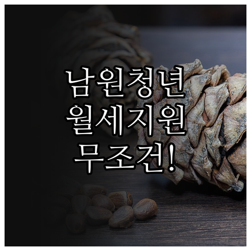 남원시 청년월세지원금 자격 확인 및 ..