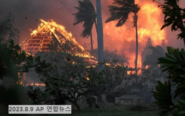하와이 산불