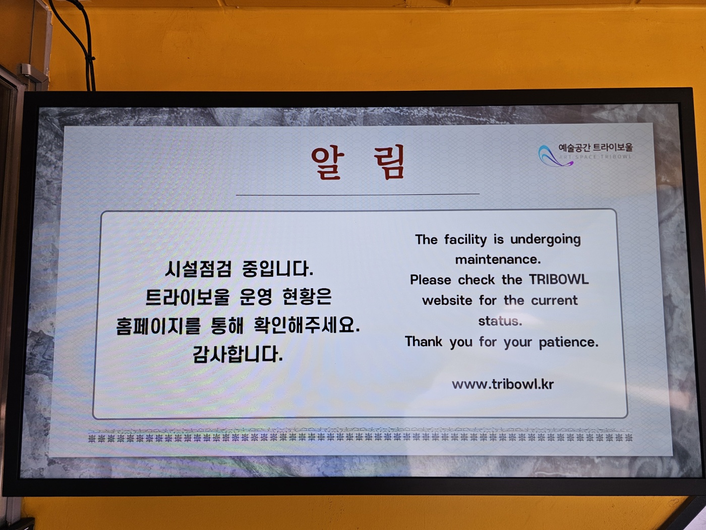 ※ 트라이볼