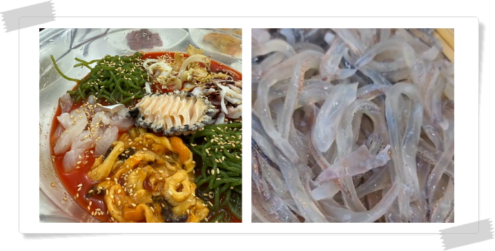 전현무계획2 강릉 짬뽕물회 자연산모둠회 후기