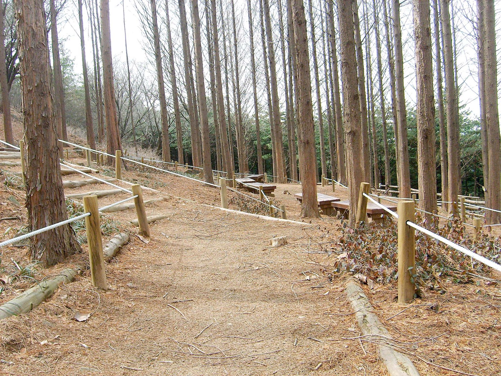 서대문구 안산자락길