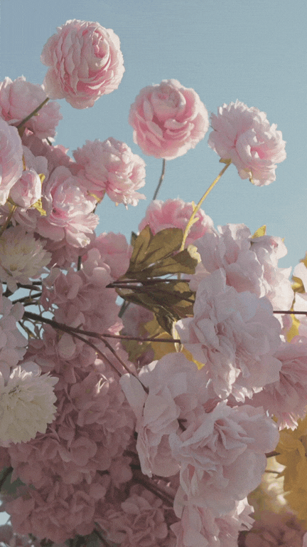 움직이는 센스있는 생일축하 이미지 메세지 카톡 문자 문구