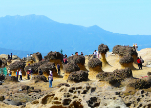 대만여행-지원금-사용처