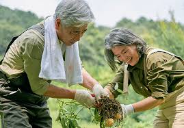 노인일자리 사업