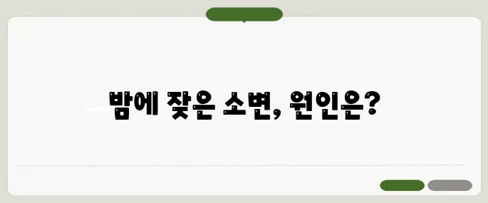 소변이 자주 마려운 증상 밤에 더 심하다면