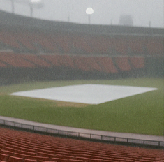 야구장의 모습