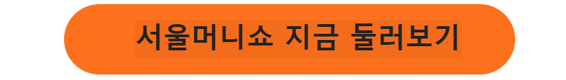 서울머니ㅛㅛ 지금 둘러보기