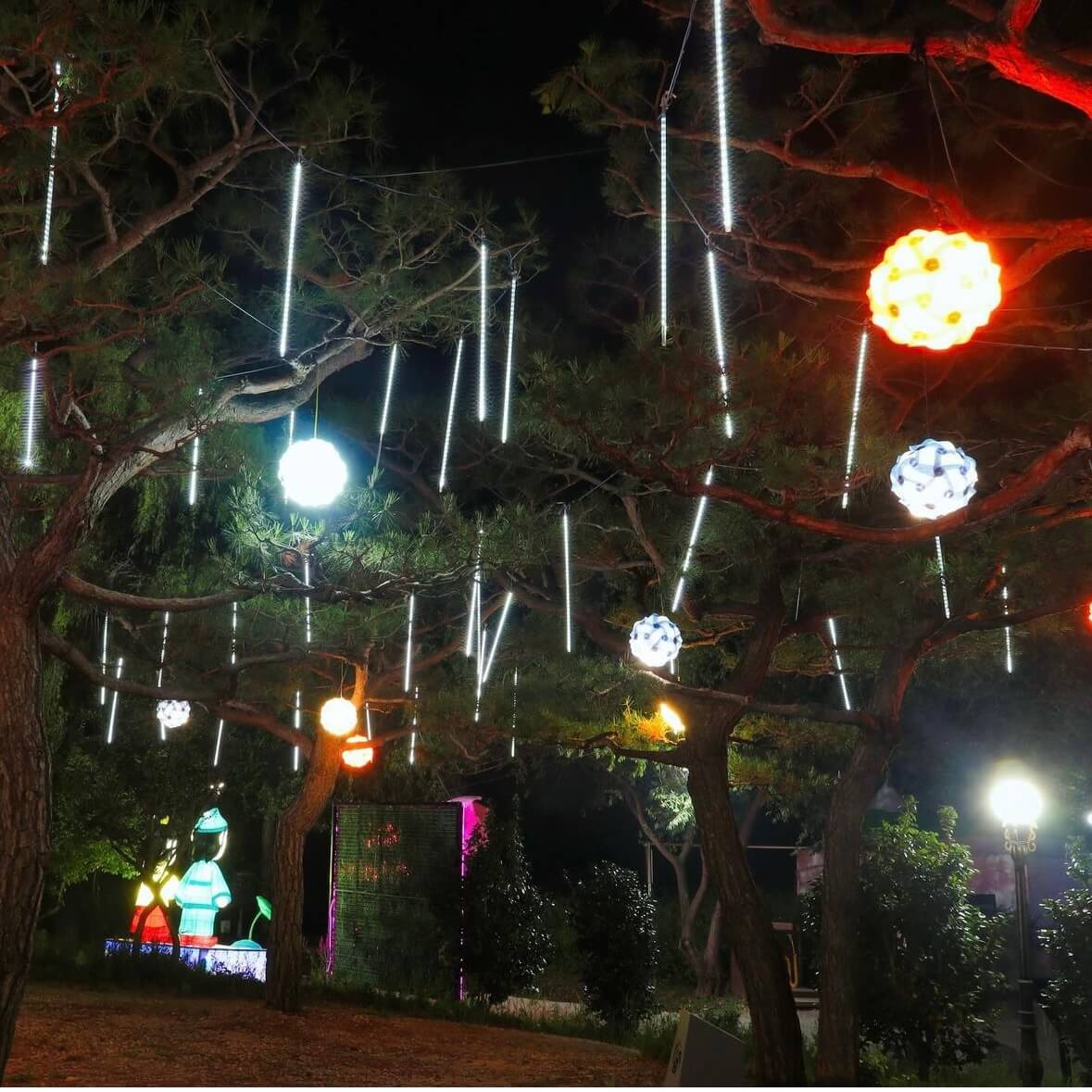 궁남지 연꽃축제