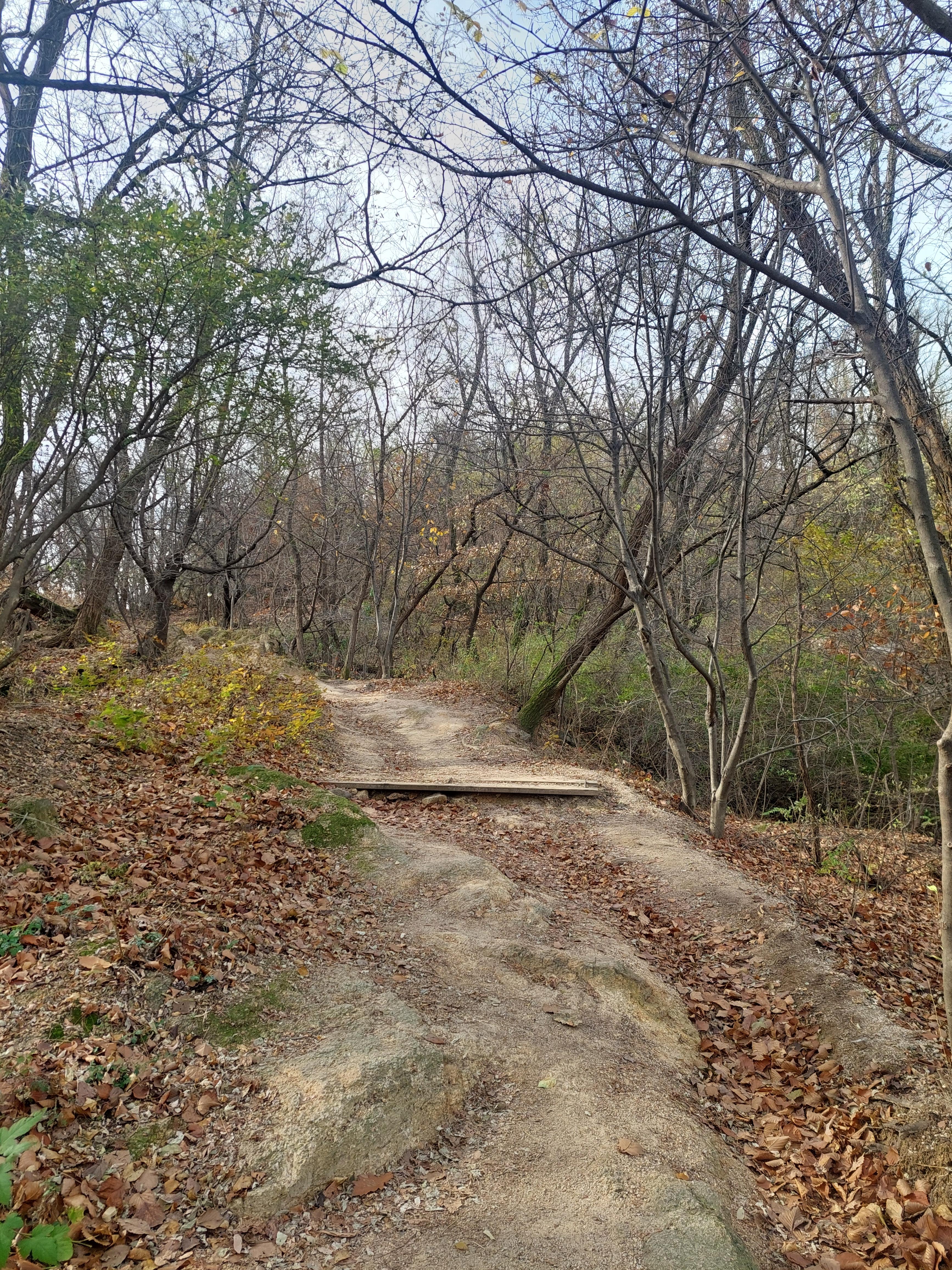 안산