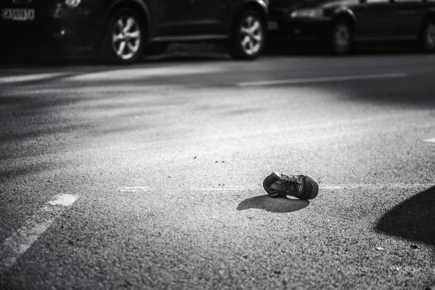 815-광복절-특사-대상자-확인 