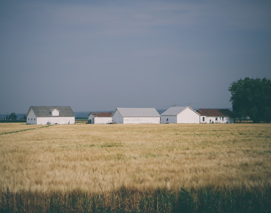 Rural