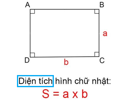 직사각형의 넓이 구하기