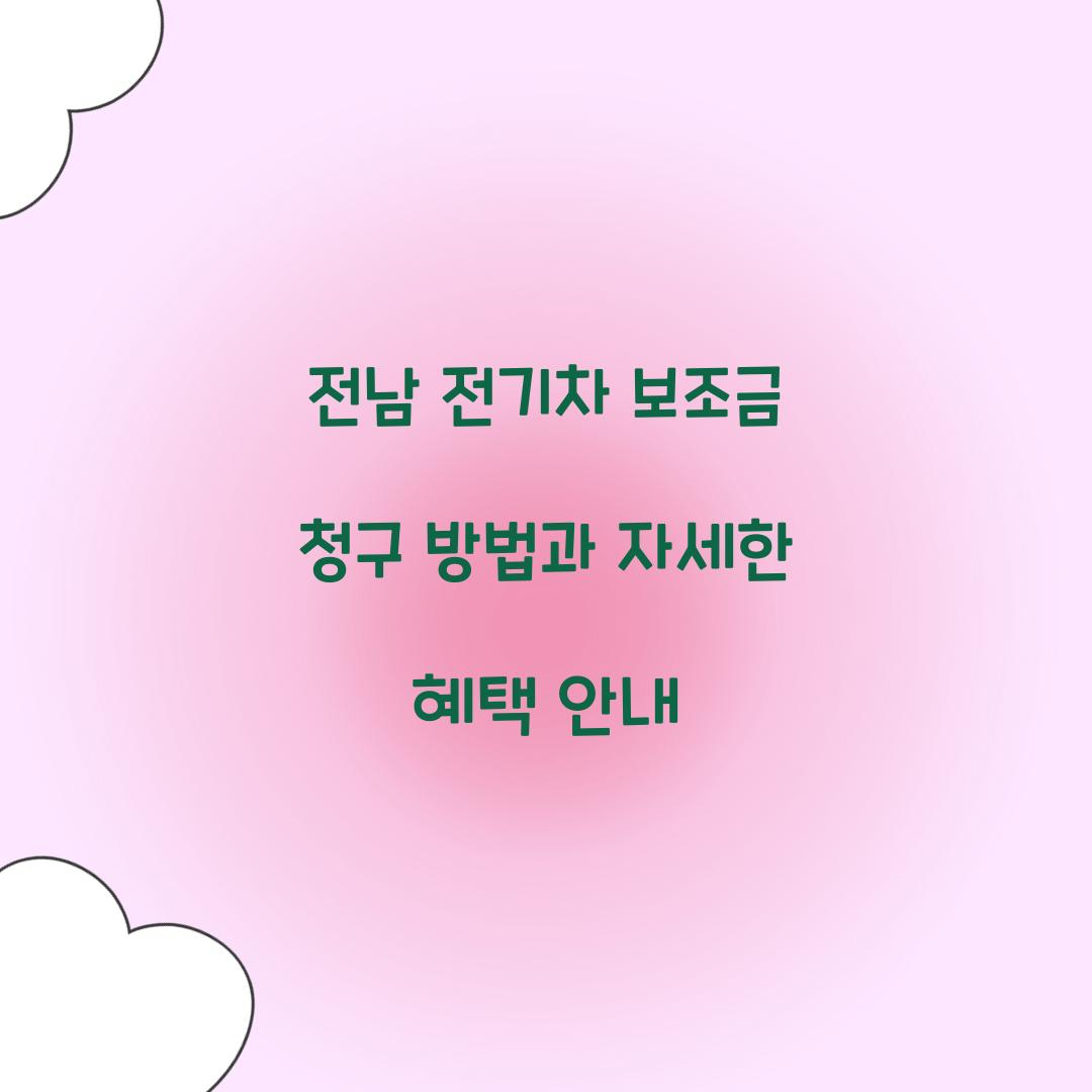 전남 전기차 보조금