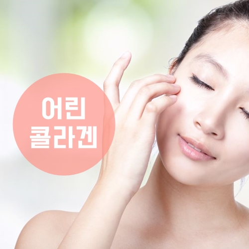 어린 콜라겐 추천